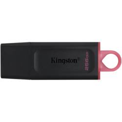 Pen Drive 256 Gb Kingston DTX Exodia